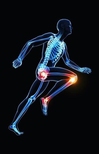 Gebruik van de Flex Chair