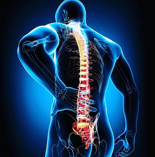 Gebruik van de Flex Chair